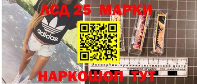 гидропоника Краснодар