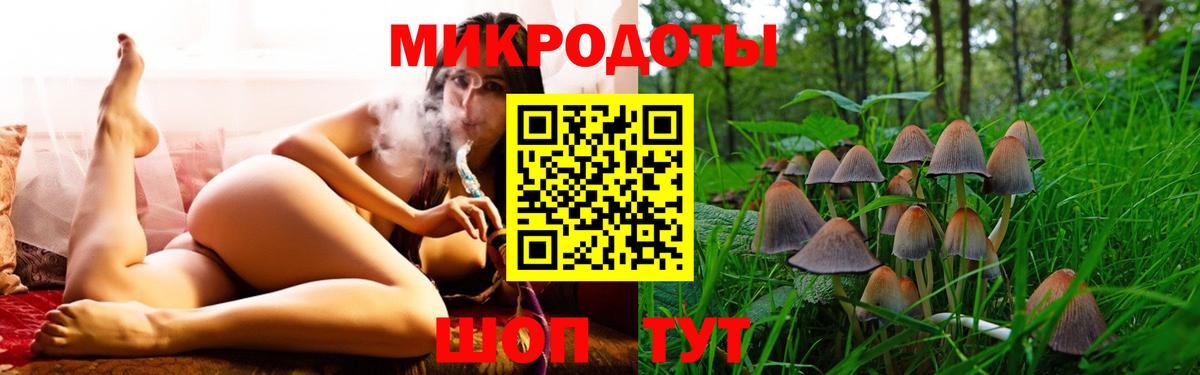 Галлюциногенные грибы Psilocybine cubensis Заводоуковск